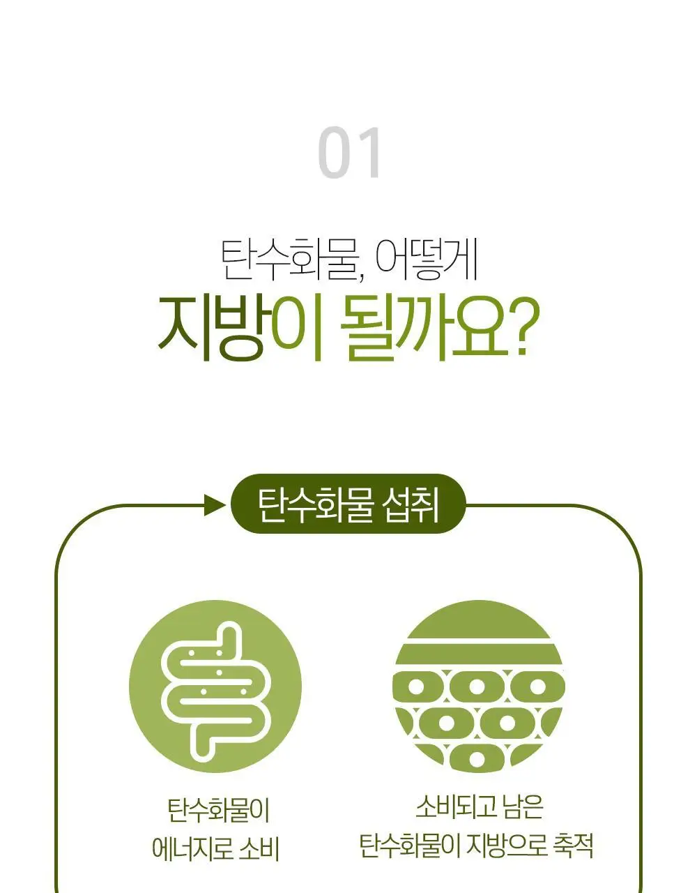[체지방 감소] 그린몬스터 다이어트 스페셜2 가르시니아 900 112정 (2개월분) 상세페이지 15